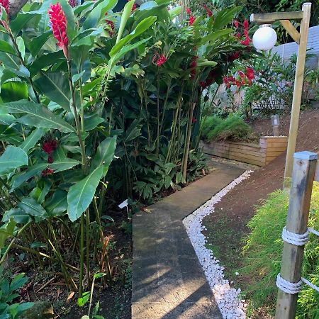 Bungalow Bananier ทรัวส์-รีวิแยร์ ภายนอก รูปภาพ