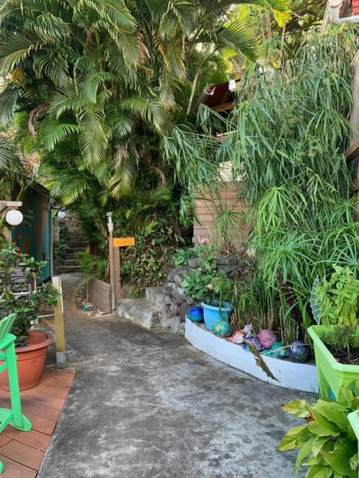 Bungalow Bananier ทรัวส์-รีวิแยร์ ภายนอก รูปภาพ