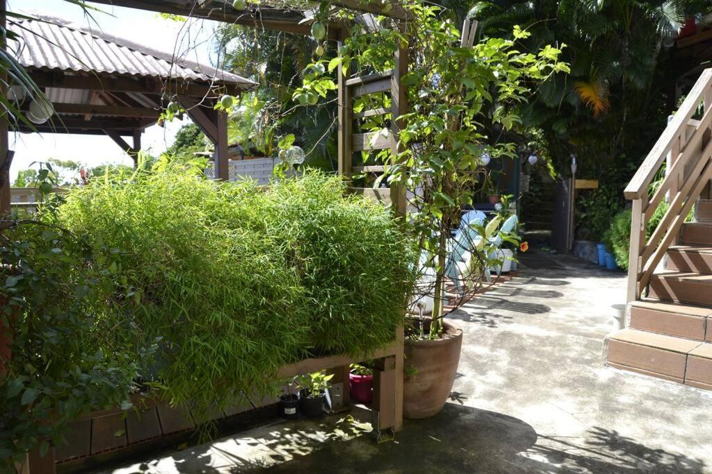 Bungalow Bananier ทรัวส์-รีวิแยร์ ภายนอก รูปภาพ