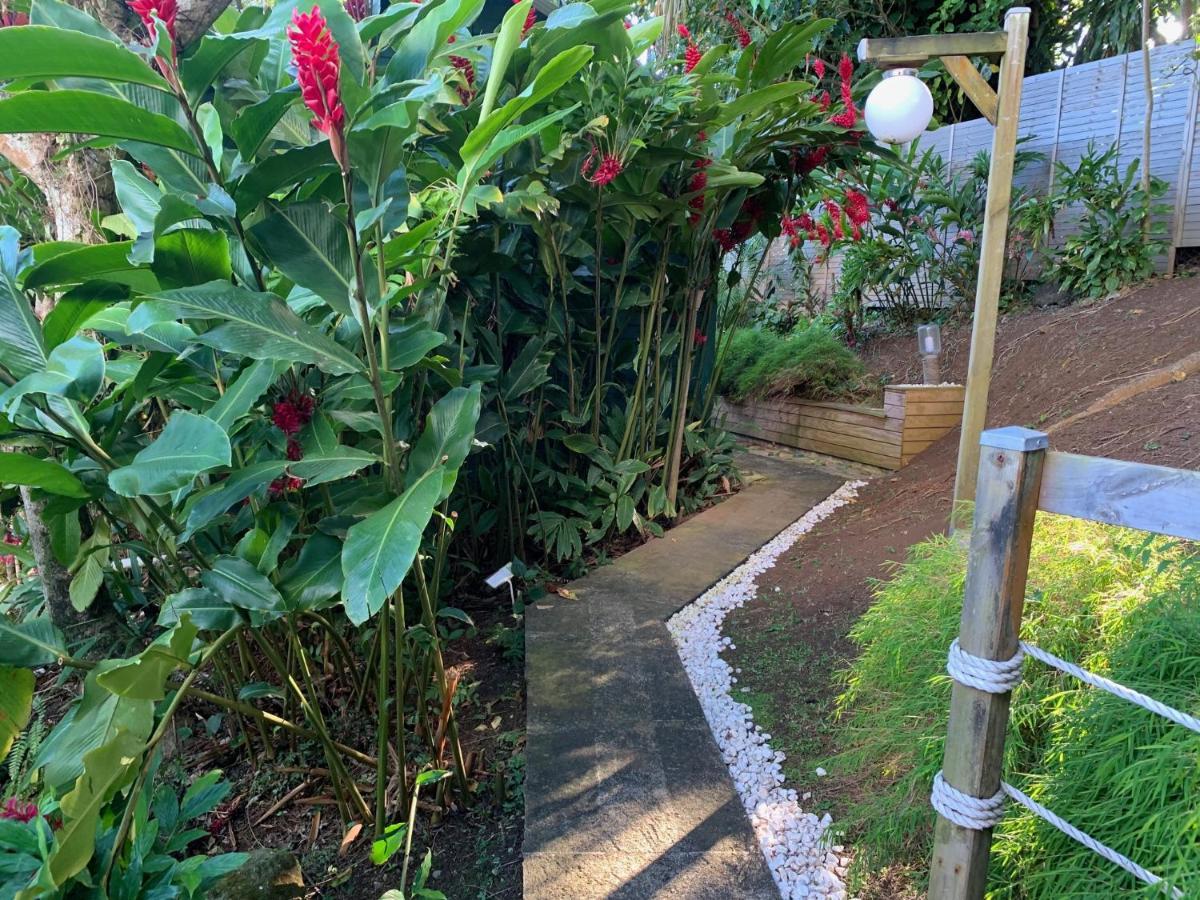 Bungalow Bananier ทรัวส์-รีวิแยร์ ภายนอก รูปภาพ